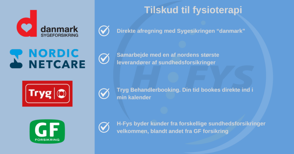 H-Fys Priser og tilskud. 